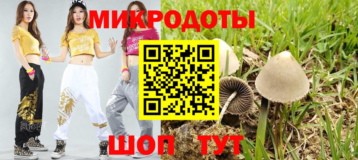 Шадринск  Галлюциногенные грибы мицелий  Вход с VPN 