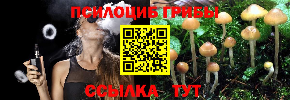 Галлюциногенные грибы мухоморы Шадринск